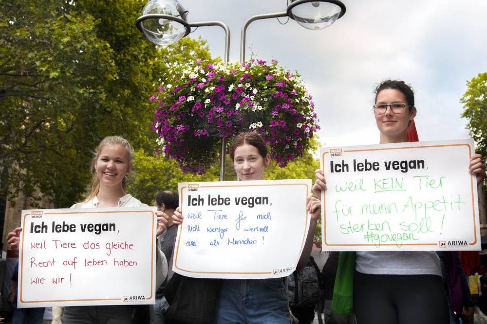 Es erwartet dich ein buntes Programm beim Vegan Street Day Bochum 2022!